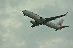 JA309J