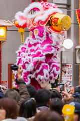 神戸南京町春節祭 (1)