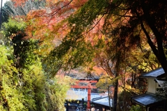 嵯峨鳥居本町