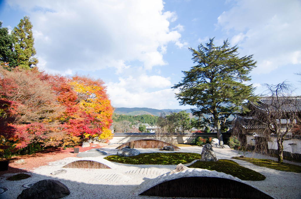 庭園と紅葉２