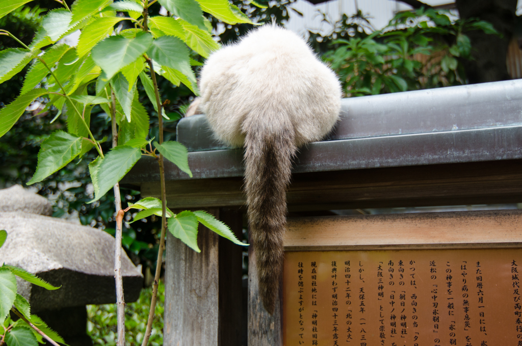 不安定が好き