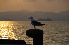 函館港の夕暮れ1