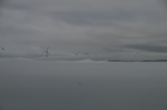 霧の波