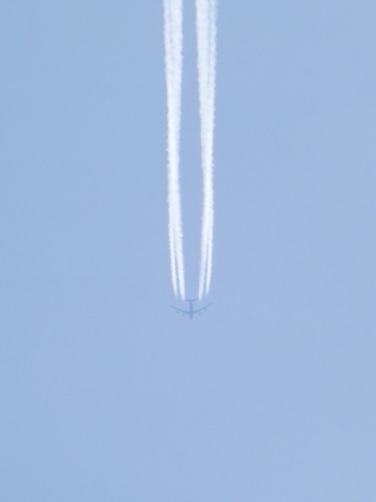 空路南へ