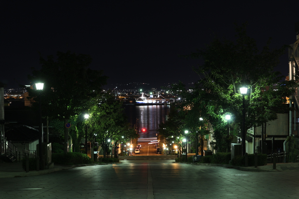 八幡坂夜景　こういうのを撮るつもりが…