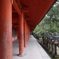 P9040199