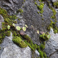 PA120743