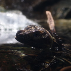 P8183545