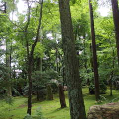 P9050343