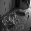 P7313157
