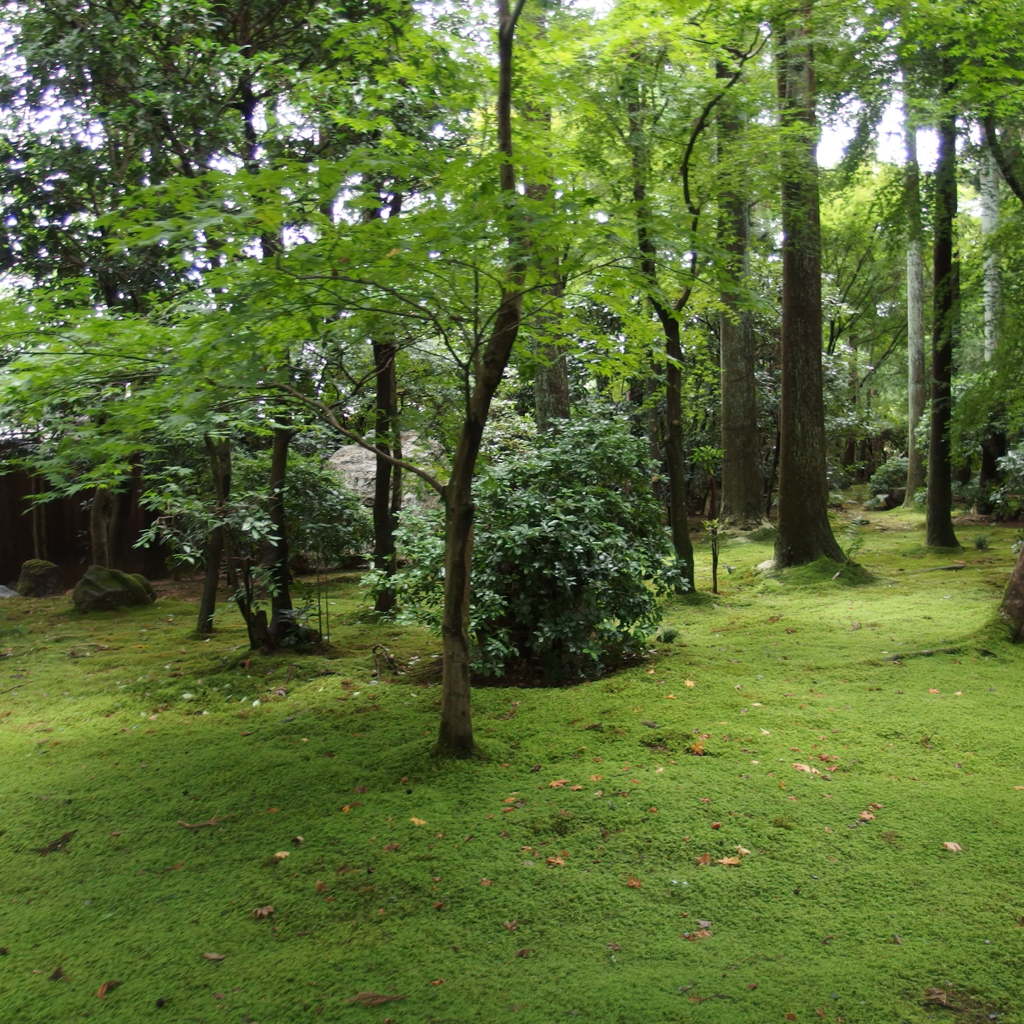 P9050346
