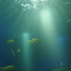 P8183610