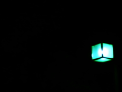 P6050847