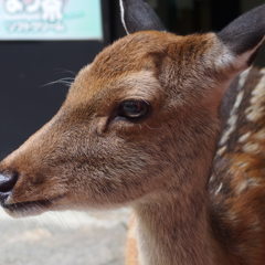 P9040211