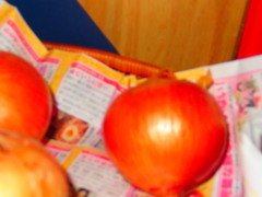 P5311304