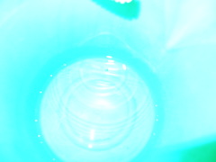 P6262261