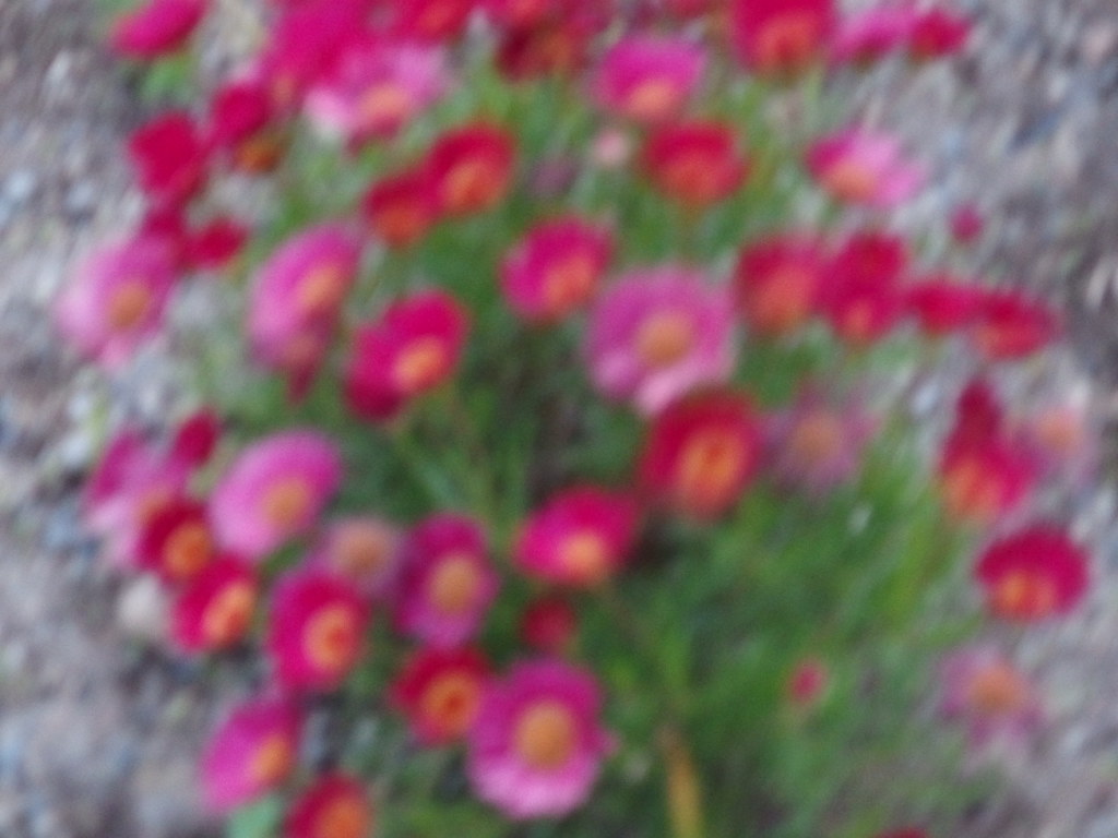 P5121367
