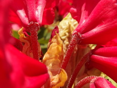 P6040693