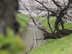 水のない水路に鎮座する