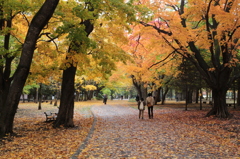公園