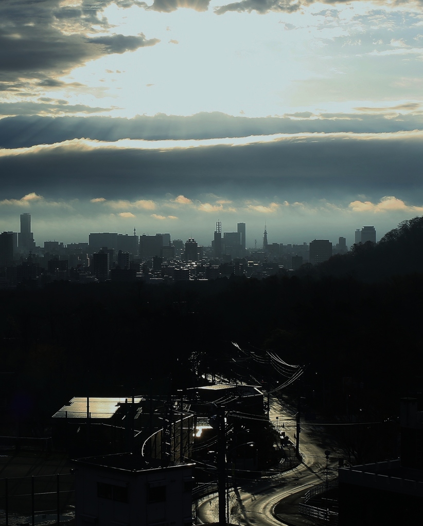 雨上がりの朝