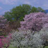 resize0783