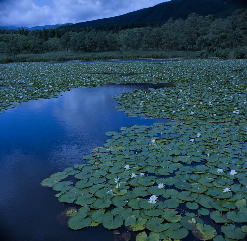 妙高　池の平　いもり池