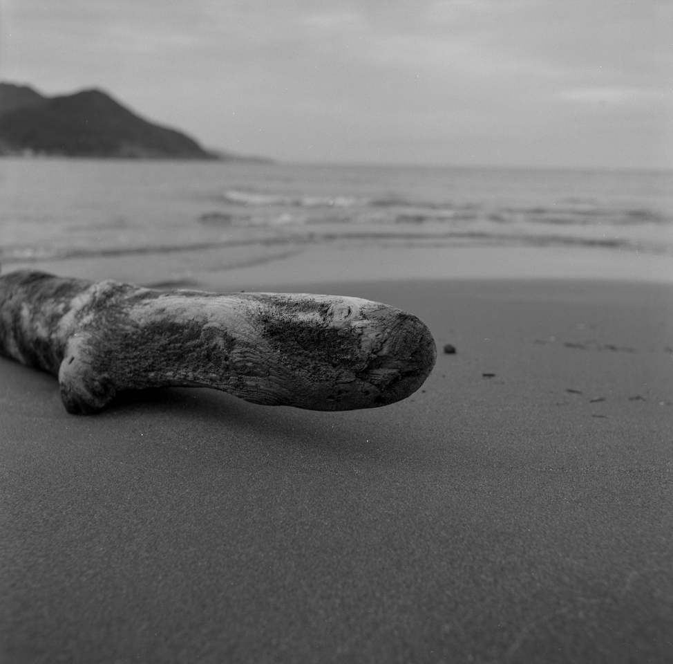 海からの来訪者