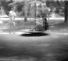 公園にて