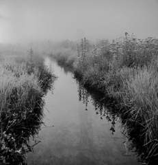 水辺の風景