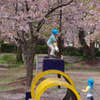 桜の下で