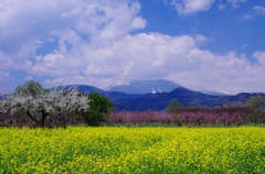 resize0786