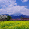 resize0786