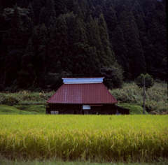 里山