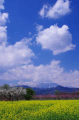 resize0787