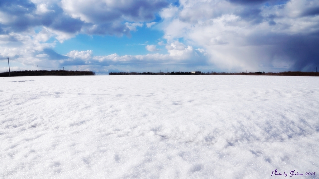 雪原