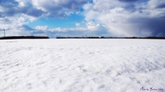 雪原