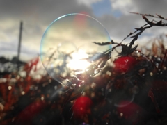 朝日とシャボン玉