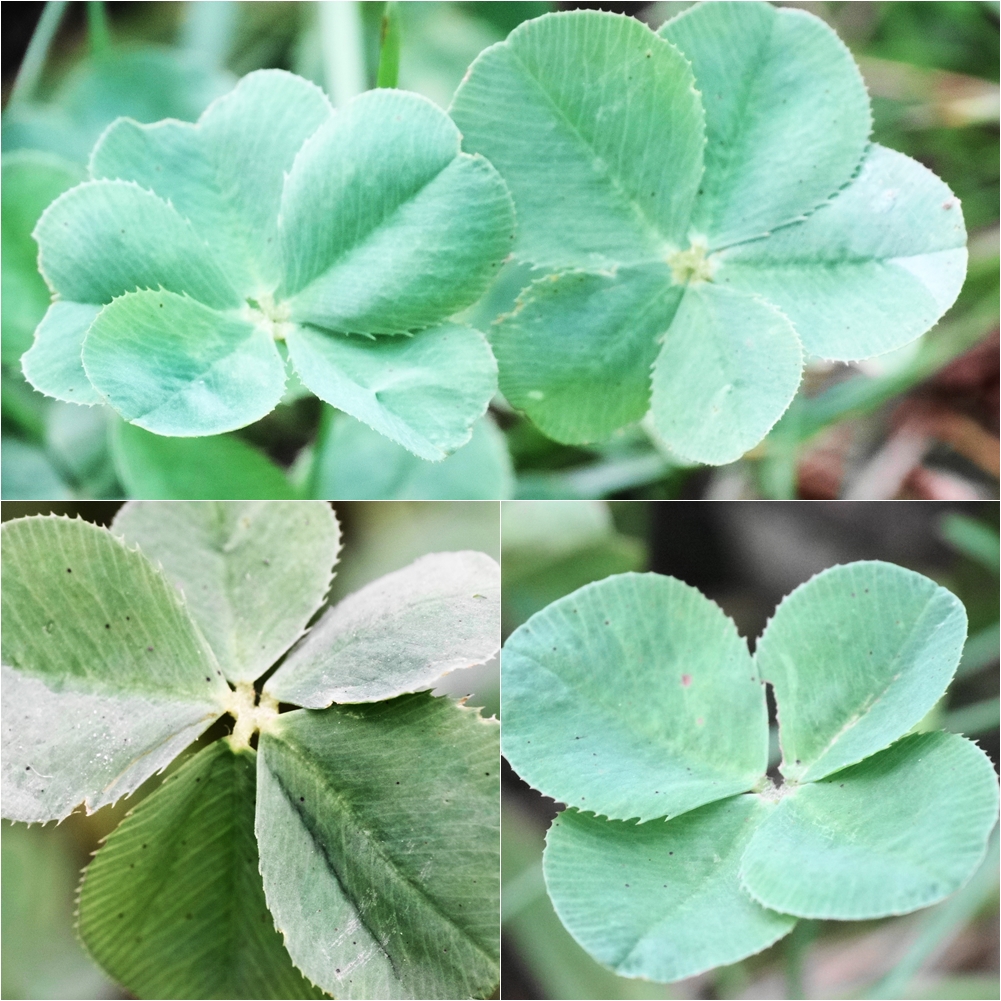 皆様に幸あれ。