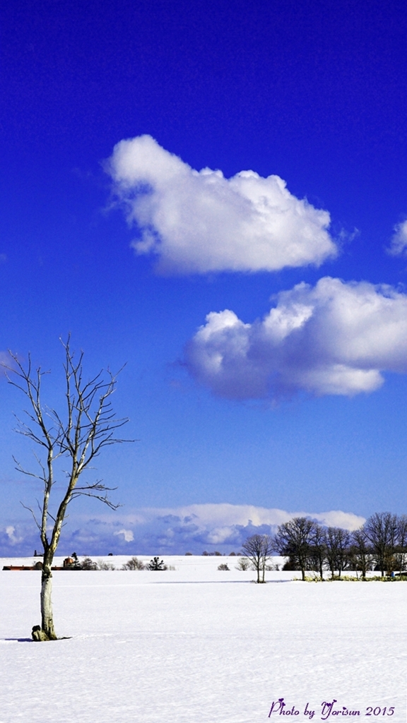 青空