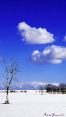 青空