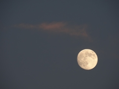 MOON