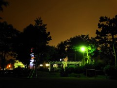 公園の夜景