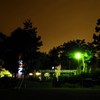 公園の夜景