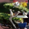 Sparrow