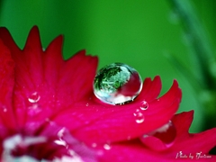 水滴