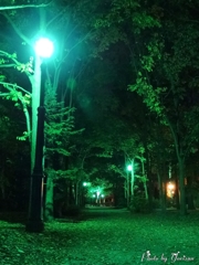 夜の散歩道
