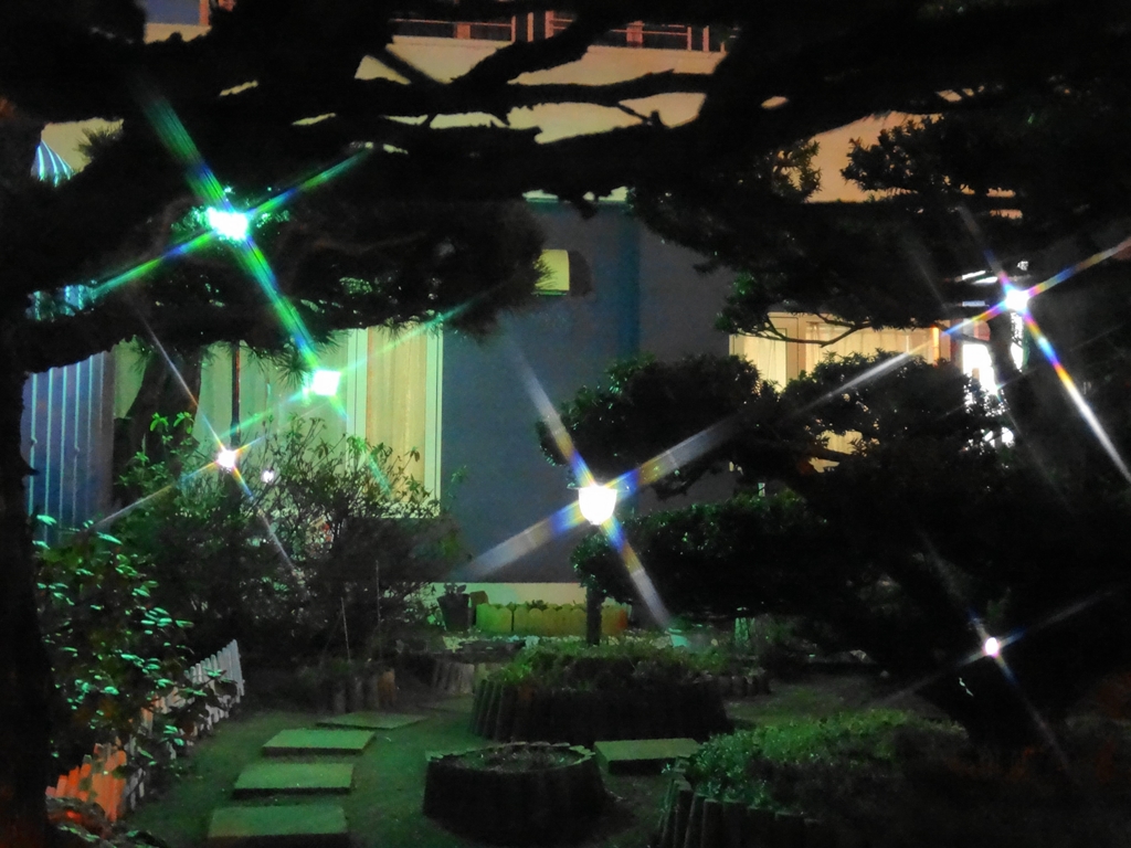 庭の夜景