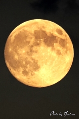 十五夜