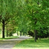 札幌市篠路公園